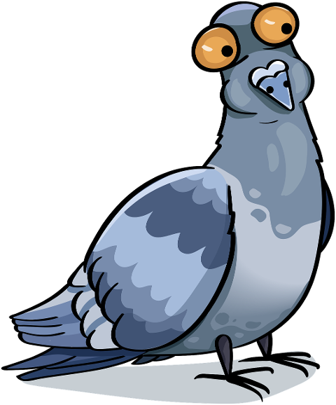 bird-pigeon-dove-feathered-7873866