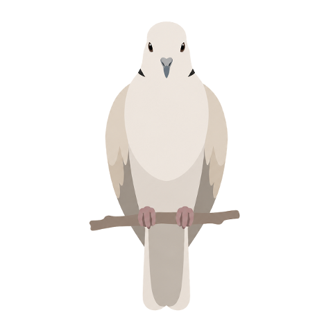 dove-bird-peace-nature-branch-10353928