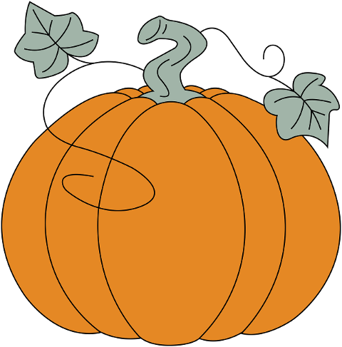 pumpkin-autumn-vegetable-drawing-6827165