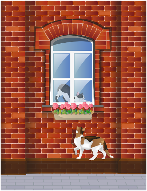 cats-window-windowsill-street-6341544