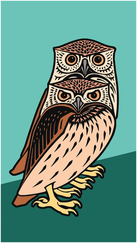 owls-beautiful-wallpaper-birds-8094004