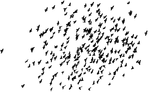 birds-flock-silhouette-animals-7933662