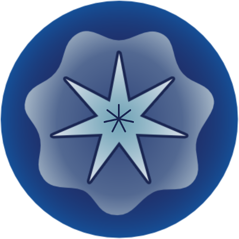 steiner-planetary-seals-9507280