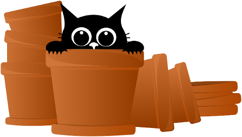cat-kitten-black-cat-cat-in-a-pot-8653647