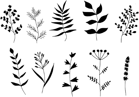 herbs-leaves-plants-marjoram-basil-7681722