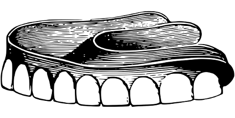 teeth-dental-dentistry-line-art-7702040