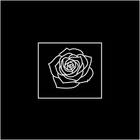 ai-generated-rose-flower-line-art-9118386