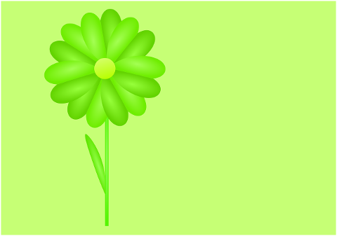 flower-bloom-green-floral-blossom-7042335