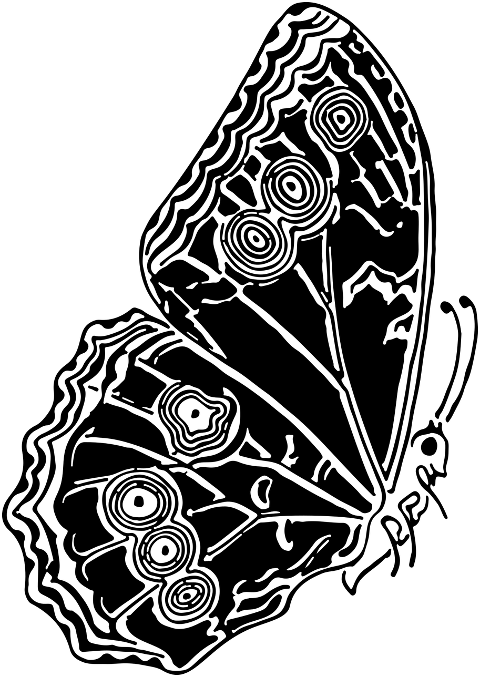 butterfly-animal-insect-art-nouveau-7234467