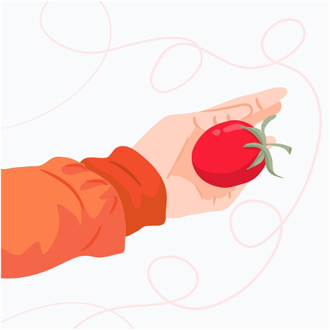 tomato-fruit-fresh-food-supplement-9681130