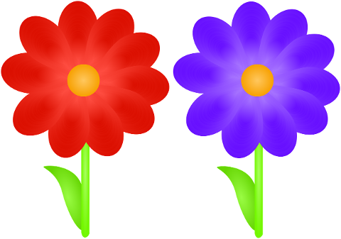 flowers-petals-plant-to-flourish-7284408