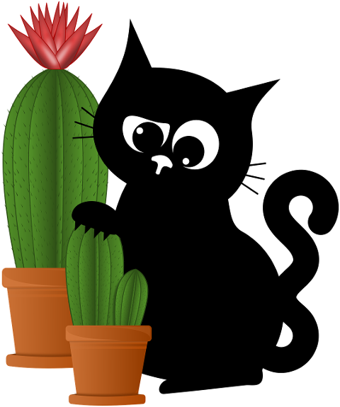 cat-cactus-kitten-black-cat-plant-8639550
