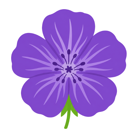 geranium-purple-flower-flower-10364856