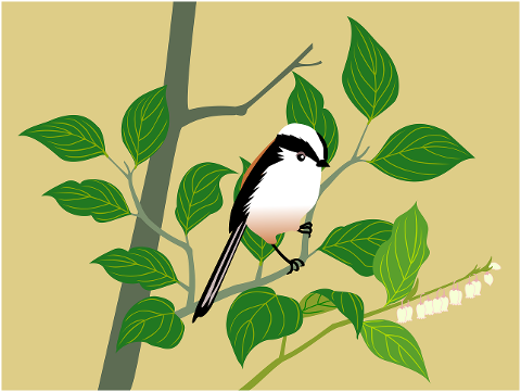 bird-leaves-avian-cartoon-6956012