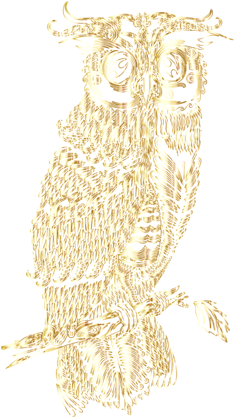 bird-owl-drawing-animal-predator-6539425