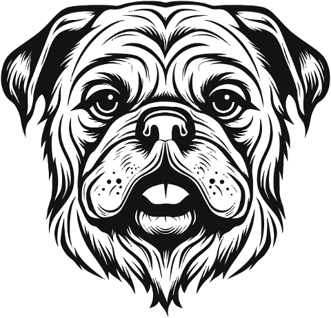 pug-black-outlined-artwork-8819756