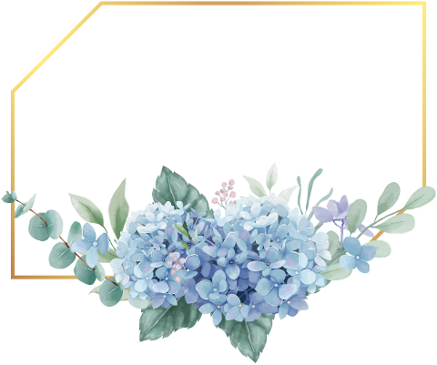 flowers-frame-floral-frame-border-6615871
