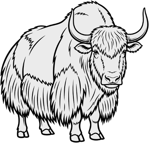 yak-outline-animal-fur-horns-9935028