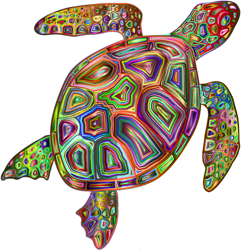 turtle-animal-amphibian-psychedelic-6370280