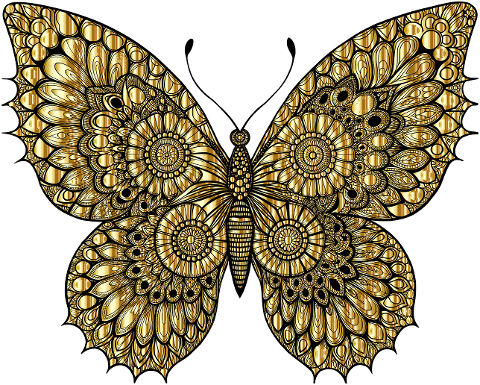 butterfly-insect-animal-flourish-9588142