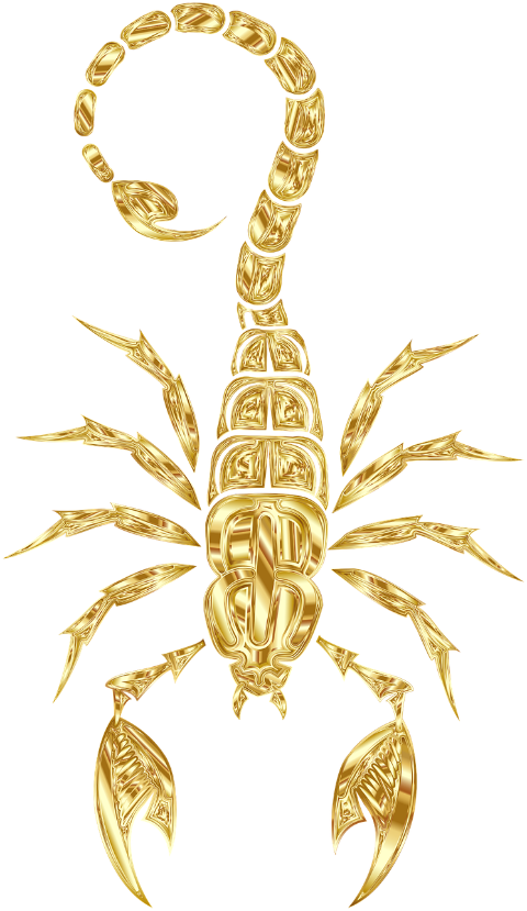 scorpion-arachnid-animal-predator-8057166