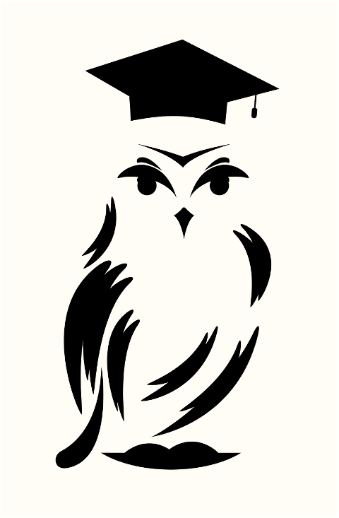 owl-bird-animal-school-study-7437496
