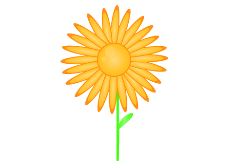 flower-sunflower-yellow-flower-6770168