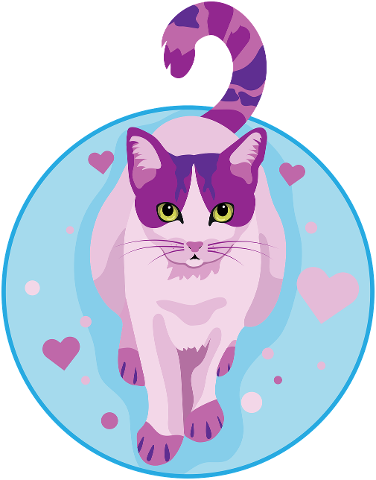 cat-kitty-meow-pink-kitten-4495094
