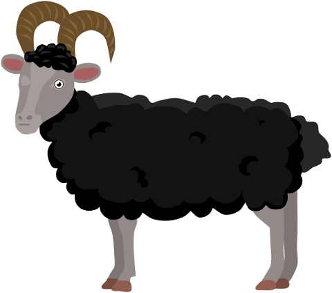 sheep-lamb-ram-animal-farm-4908769
