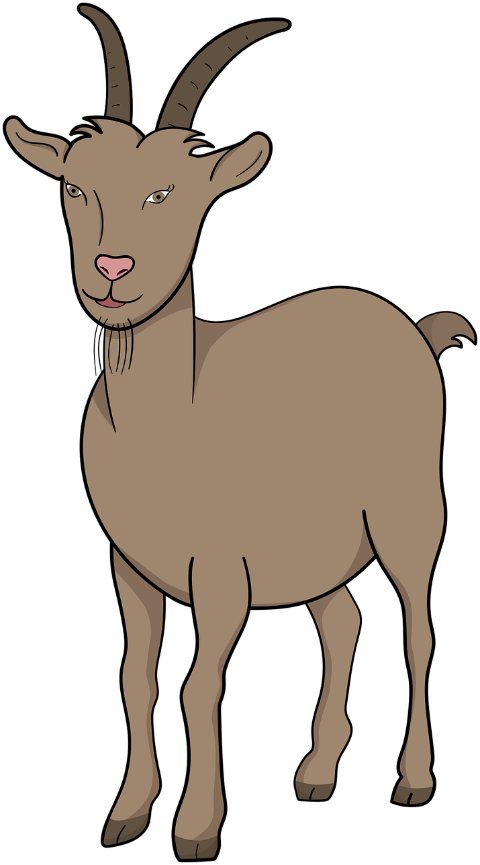 goat-horns-ruminant-animal-7846306
