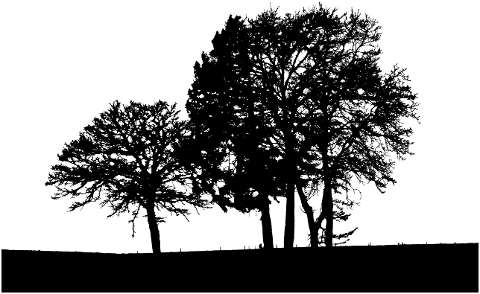 trees-silhouette-branches-8171696