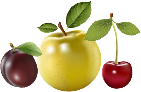 fruit-berry-plum-apple-cherry-4818378