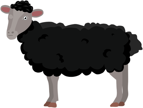 sheep-lamb-ram-animal-farm-4908768