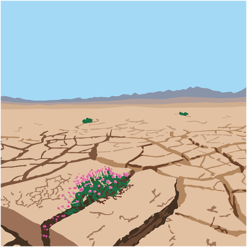 desert-drought-africa-green-9669849
