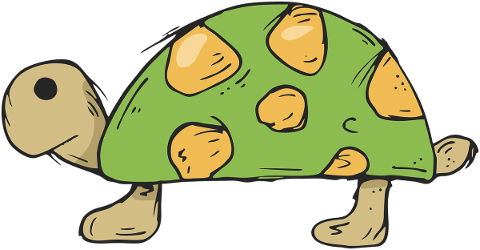 turtle-animal-the-zoo-cartoon-4888434