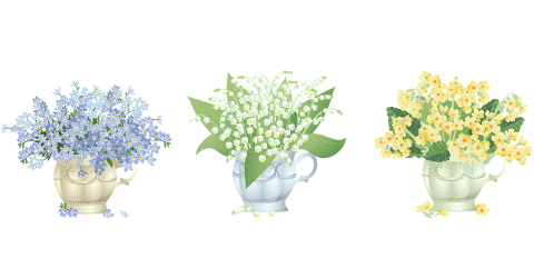 flowers-bouquet-vases-7112909