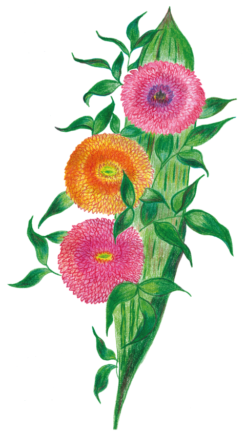 gerberas-bouquet-flowers-bloom-8537335