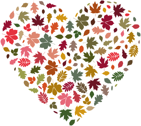 autumn-leaves-heart-season-fall-6863825