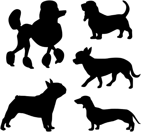 dog-silhouettes-small-dogs-poodles-4462065