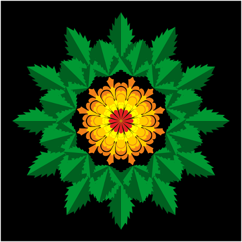 flower-symmetry-pattern-ornament-4856783