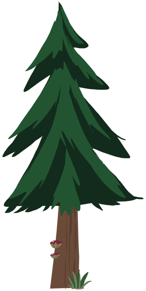 pine-tree-tree-nature-forest-2d-9734401