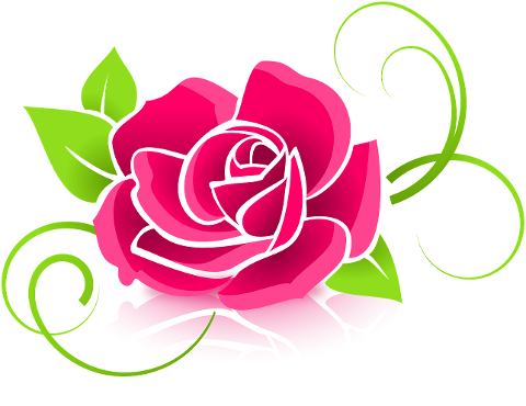 rose-flower-petals-bloom-pink-rose-398576