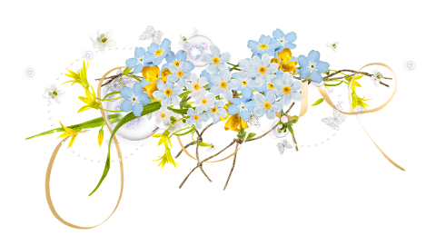 spring-easter-flowers-forget-me-not-4940836