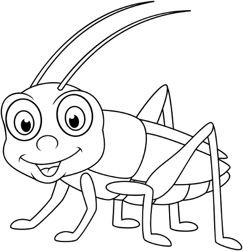 cricket-grasshopper-insect-baby-6387508