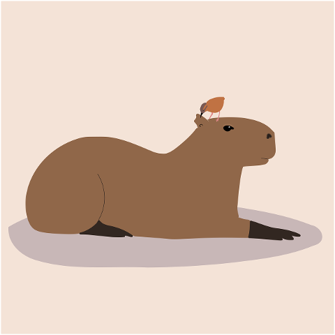 animal-capybara-amazon-brazil-7172825