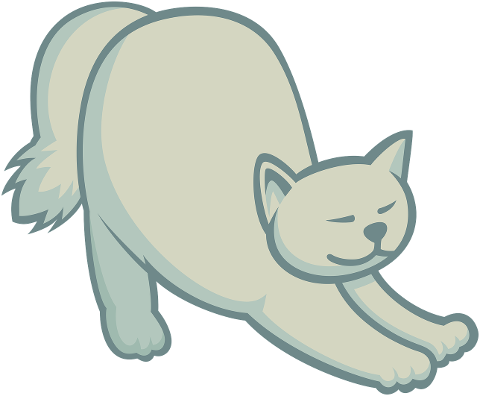 cat-stretching-stretch-exercise-9250668