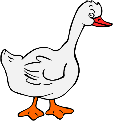 goose-bird-saint-martin-s-day-goose-6122868