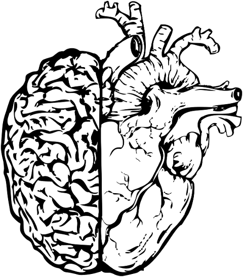 mindfulness-brain-heart-mind-body-6911306