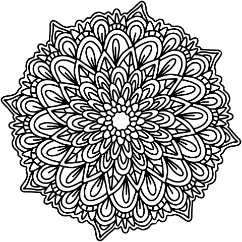 mandala-coloring-floral-botanical-10329611