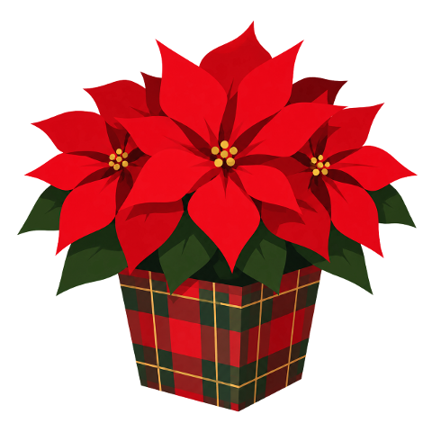 poinsettia-christmas-decoration-10453558